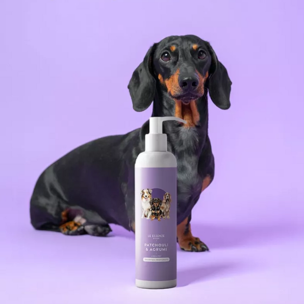 Pet shampoo - Patchouli & Agrumi 500 ml